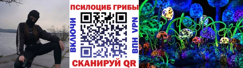 Купить закладки  Лагань  Псилоцибиновые грибы MAGIC MUSHROOMS 